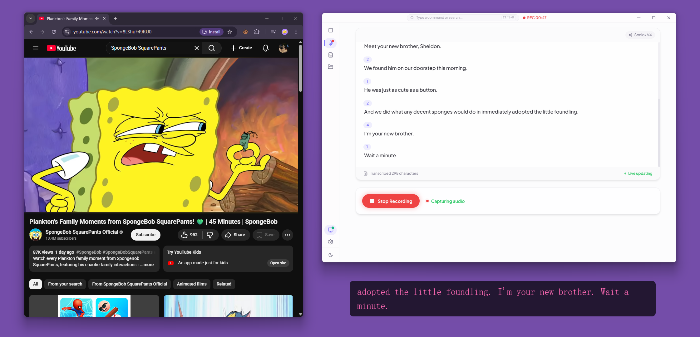 Live Transcription View